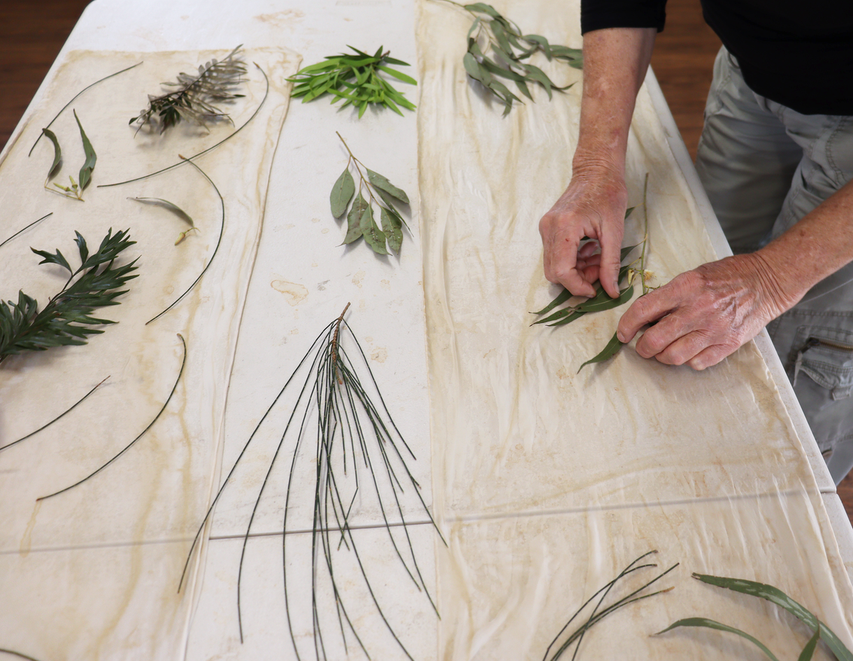 ArtKeeper Workshop | Botanical Printing with Norton Fredericks