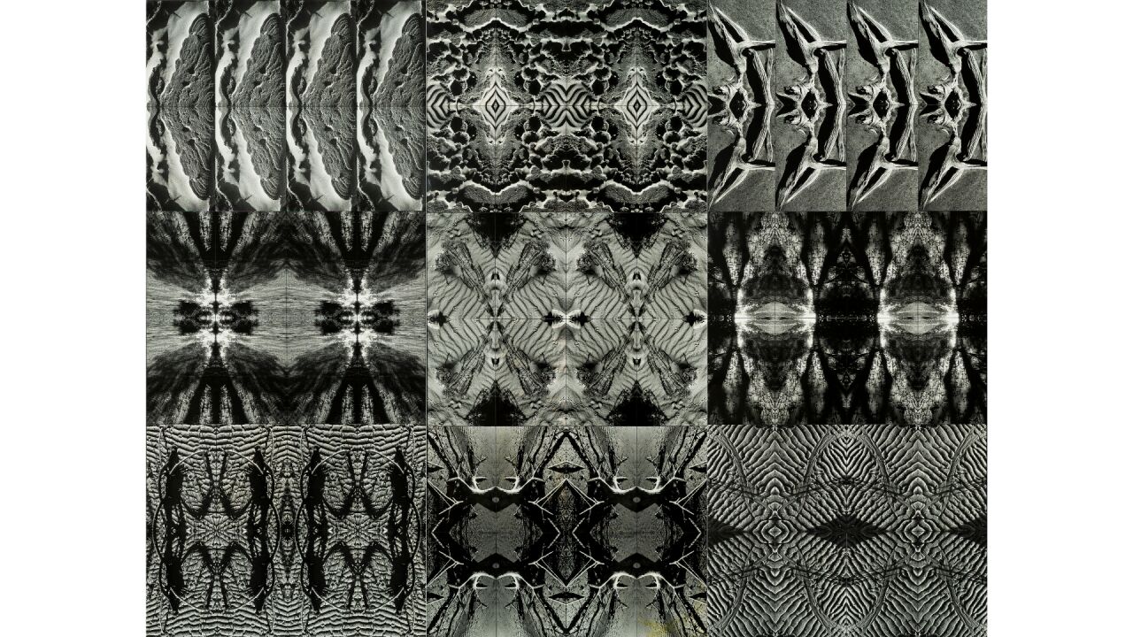 HOTA Collects: Metamorphosis
