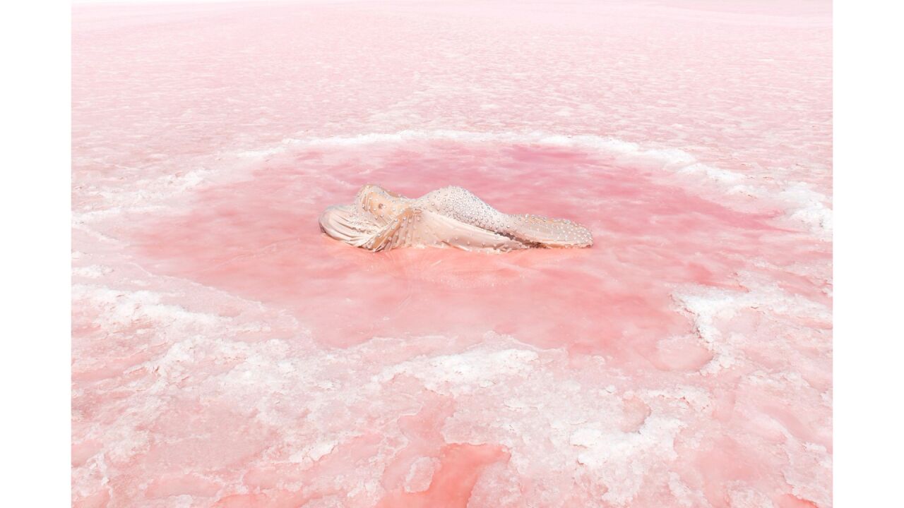 Beneath the Surface