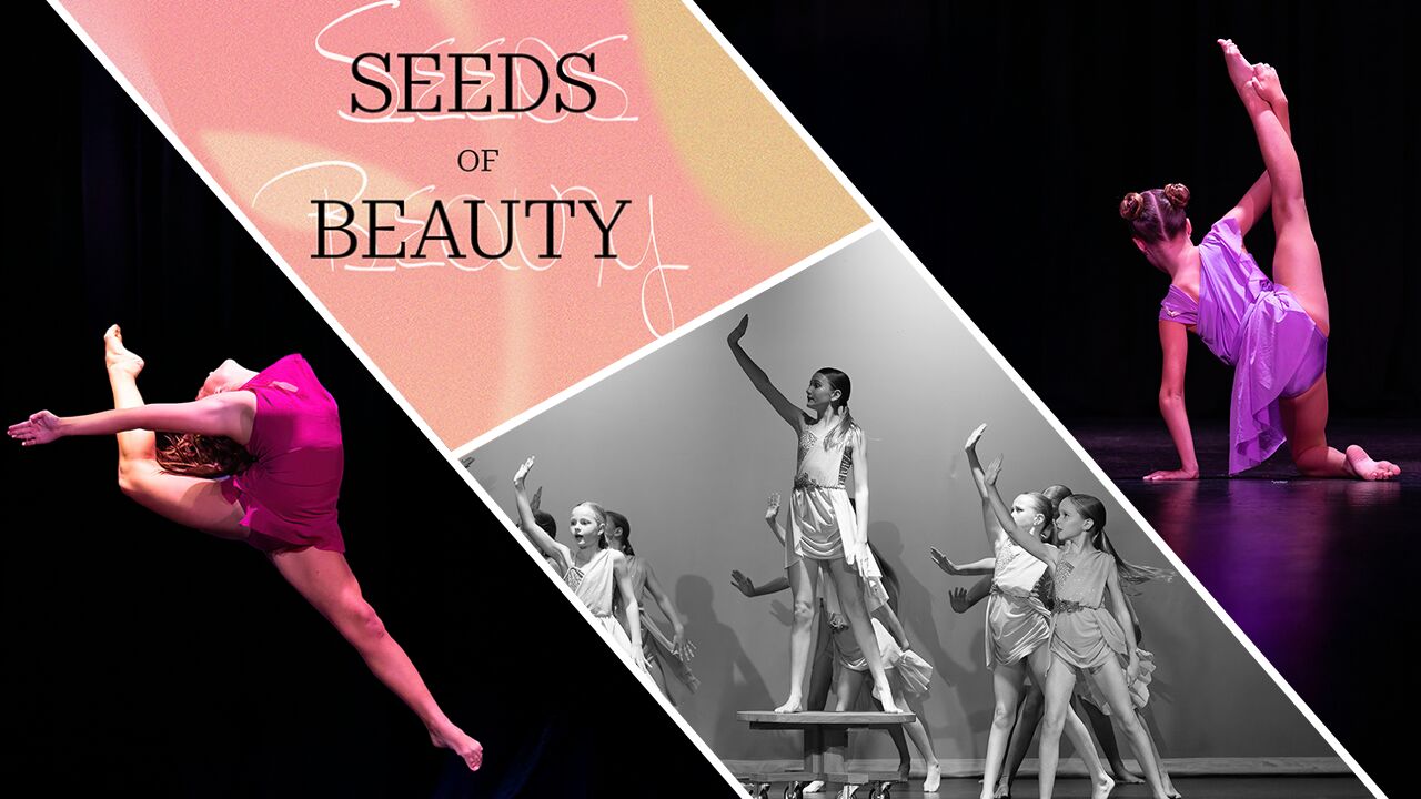 Seeds of Beauty- Kingscliff Performing Arts