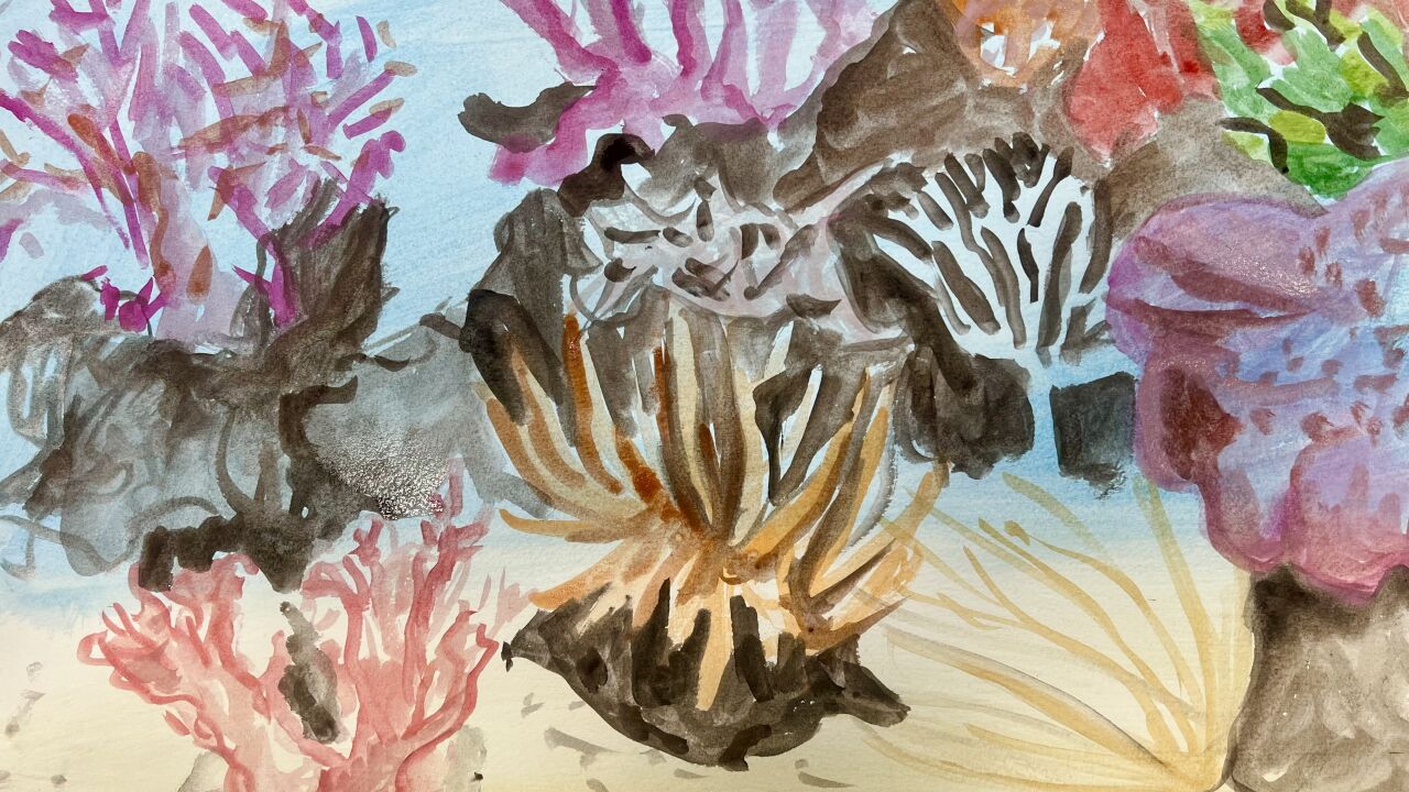 Sunroom | Watercolour Reef
