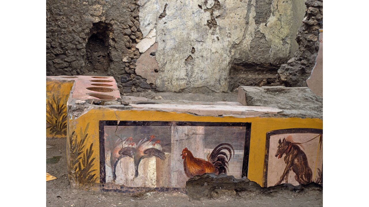 Inside Pompeii – Floor Talk with Roman Historian Dr Kit Morrell