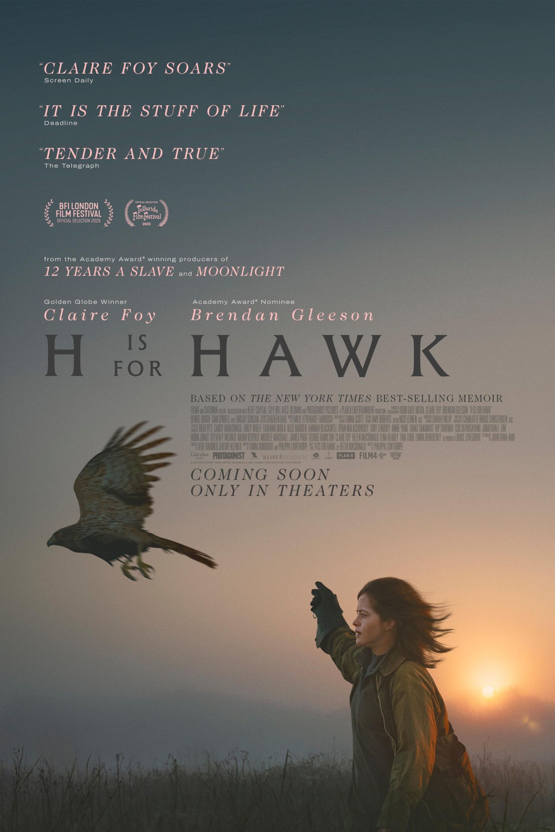 H Is For Hawk