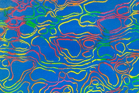 Sunroom – Beneath the Surface