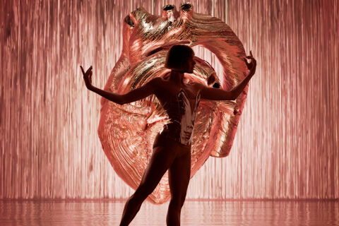 Elastic Hearts featuring the music of Sia