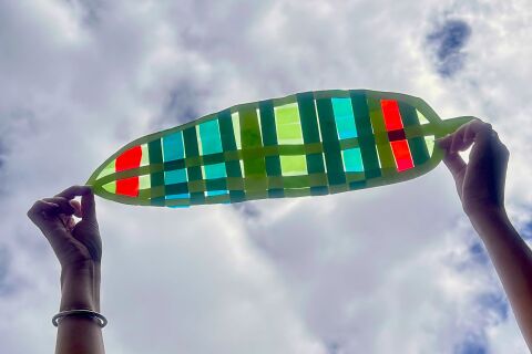 ArtLab – Beautiful Banana Leaves