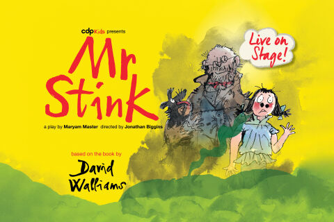 Mr Stink