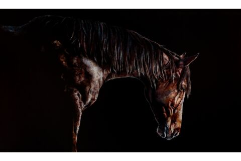 Nicole Slater: Rose Gold