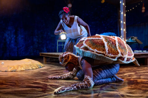 Waru - Journey of the Small Turtle 