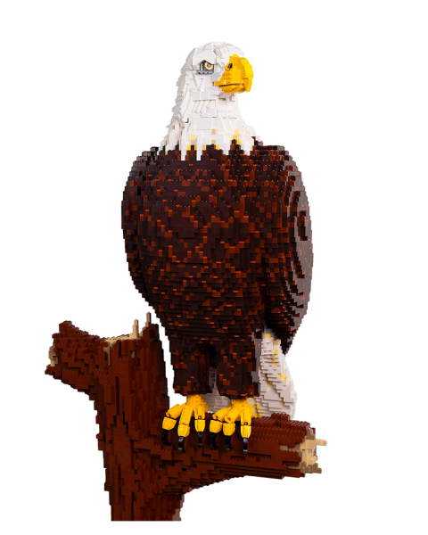 Eagle