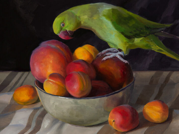 Understanding Light and Colour 